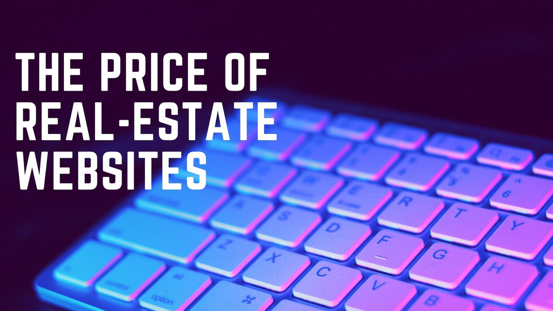 How much does a real estate website cost